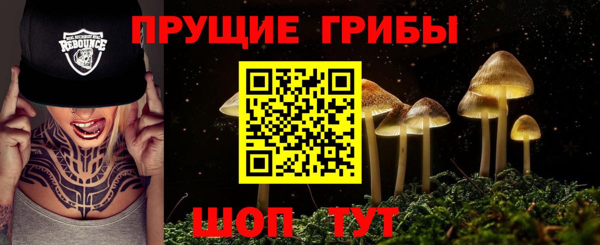 Галлюциногенные грибы Psilocybe Москва