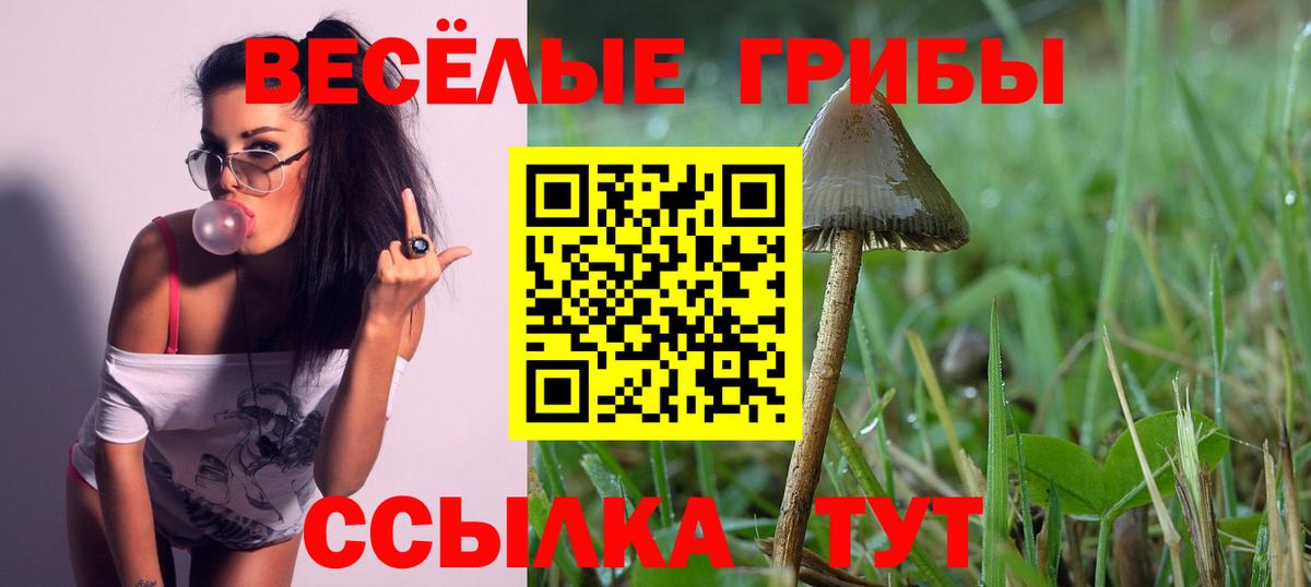 Москва  Галлюциногенные грибы Psilocybe  даркнет сайт  Вход с VPN 